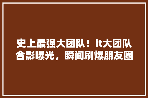 史上最强大团队！it大团队合影曝光，瞬间刷爆朋友圈！