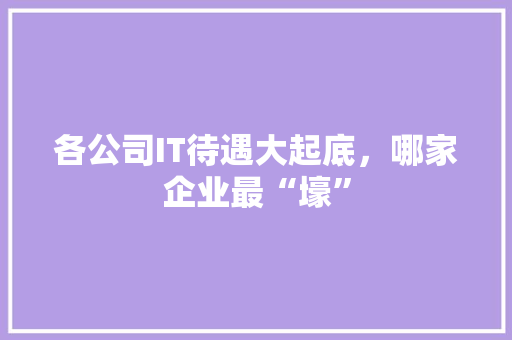 各公司IT待遇大起底，哪家企业最“壕”