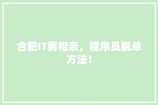 合肥IT男相亲，程序员脱单方法！