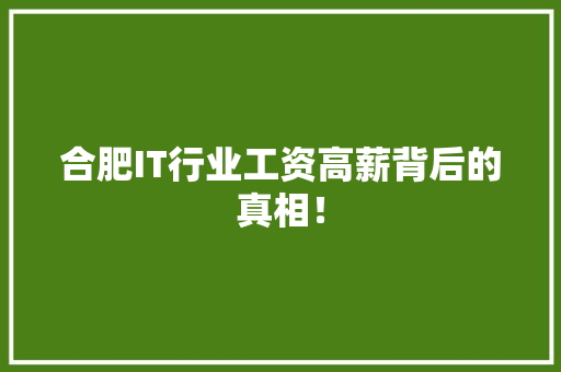 合肥IT行业工资高薪背后的真相！