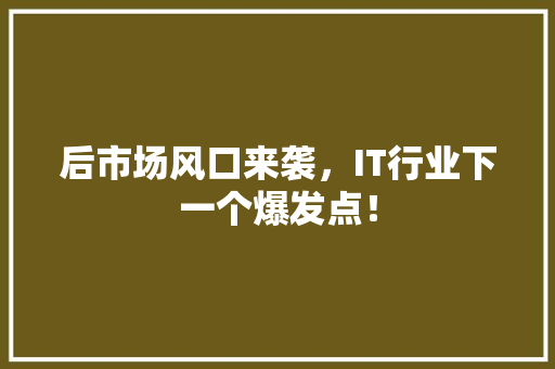 后市场风口来袭，IT行业下一个爆发点！
