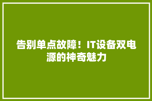 告别单点故障！IT设备双电源的神奇魅力