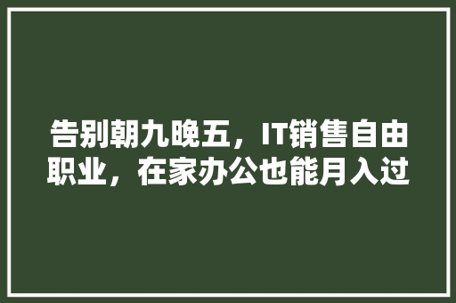 告别朝九晚五，IT销售自由职业，在家办公也能月入过万！