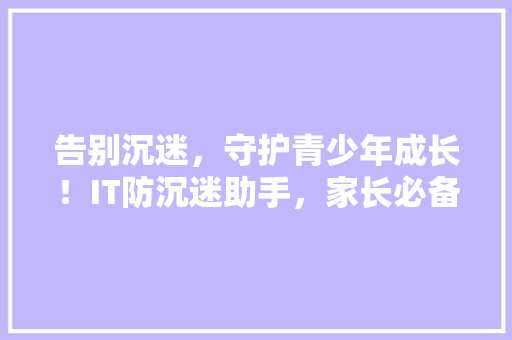 告别沉迷，守护青少年成长！IT防沉迷助手，家长必备神器