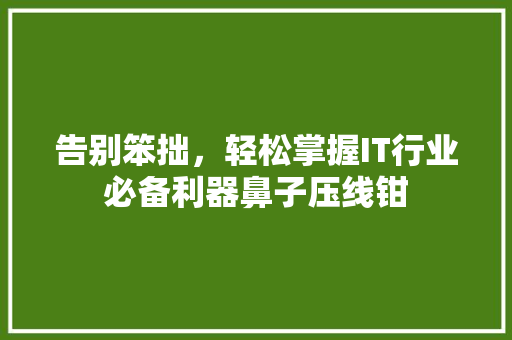 告别笨拙，轻松掌握IT行业必备利器鼻子压线钳
