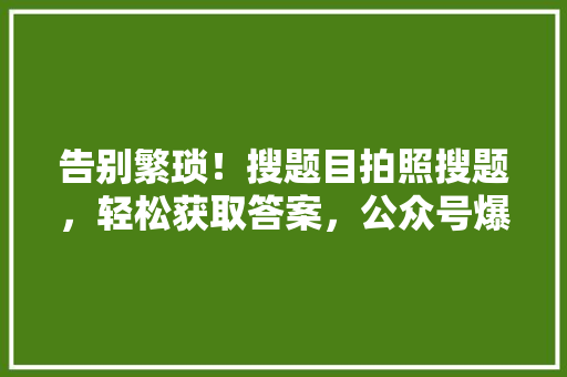 告别繁琐！搜题目拍照搜题，轻松获取答案，公众号爆款标题来了！