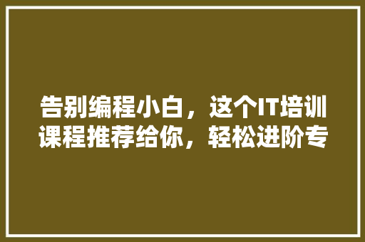 告别编程小白，这个IT培训课程推荐给你，轻松进阶专家！