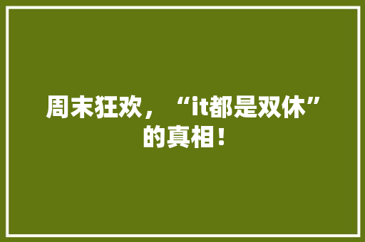周末狂欢，“it都是双休”的真相！