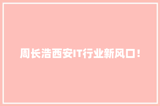 周长浩西安IT行业新风口！ GoogleSEO