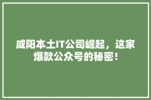 咸阳本土IT公司崛起，这家爆款公众号的秘密！