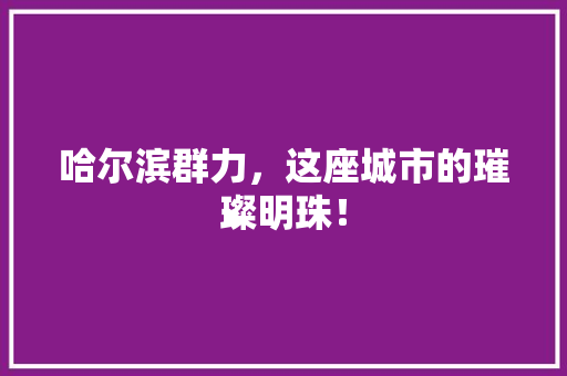哈尔滨群力，这座城市的璀璨明珠！