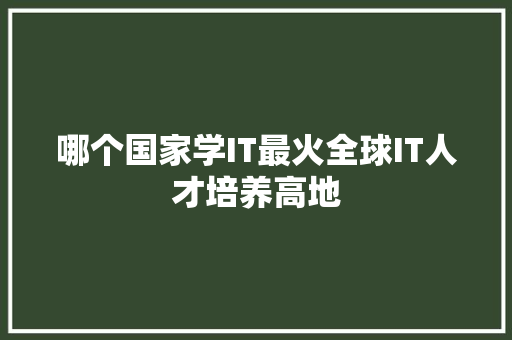 哪个国家学IT最火全球IT人才培养高地