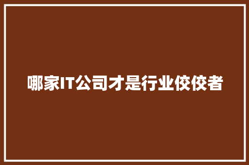 哪家IT公司才是行业佼佼者