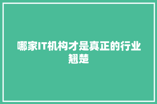 哪家IT机构才是真正的行业翘楚 神马SEO