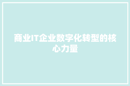 商业IT企业数字化转型的核心力量 神马SEO