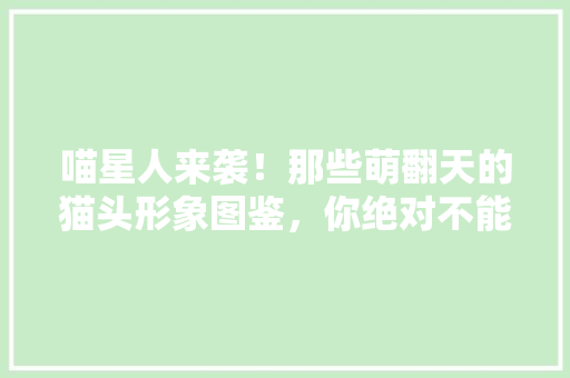 喵星人来袭！那些萌翻天的猫头形象图鉴，你绝对不能错过！ 神马SEO
