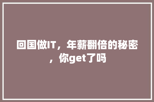 回国做IT，年薪翻倍的秘密，你get了吗