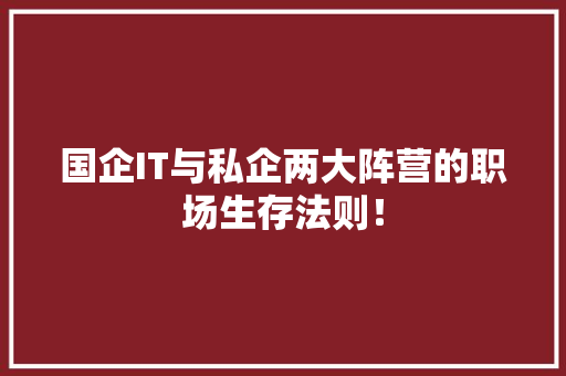 国企IT与私企两大阵营的职场生存法则！
