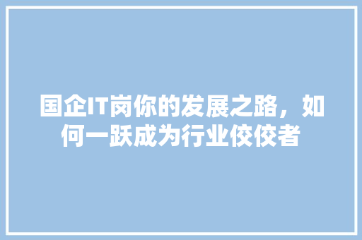 国企IT岗你的发展之路，如何一跃成为行业佼佼者