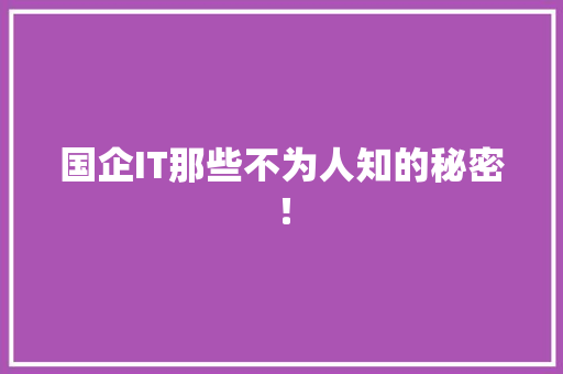国企IT那些不为人知的秘密！