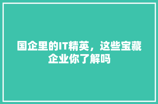 国企里的IT精英，这些宝藏企业你了解吗