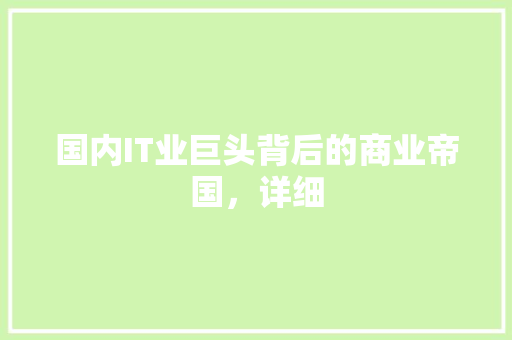国内IT业巨头背后的商业帝国，详细