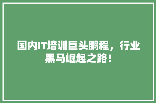 国内IT培训巨头鹏程，行业黑马崛起之路！