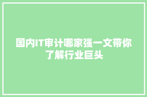 国内IT审计哪家强一文带你了解行业巨头