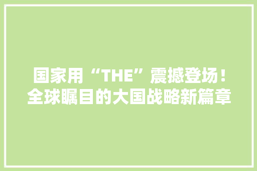国家用“THE”震撼登场！全球瞩目的大国战略新篇章
