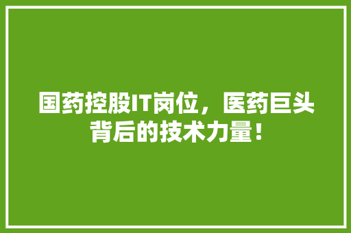 国药控股IT岗位，医药巨头背后的技术力量！