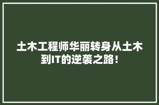 土木工程师华丽转身从土木到IT的逆袭之路！