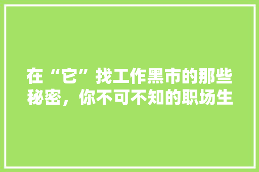 在“它”找工作黑市的那些秘密，你不可不知的职场生存法则！