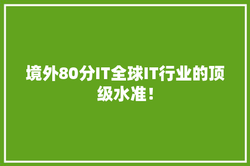 境外80分IT全球IT行业的顶级水准！