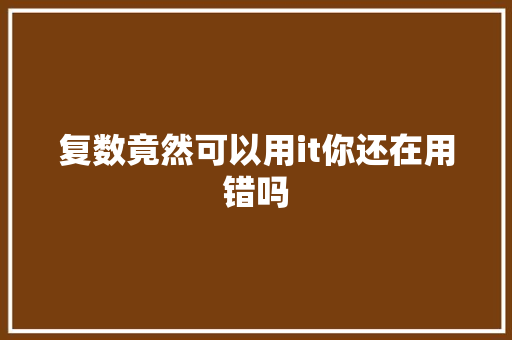 复数竟然可以用it你还在用错吗 必应SEO