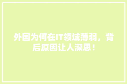 外国为何在IT领域薄弱，背后原因让人深思！ 搜狗SEO