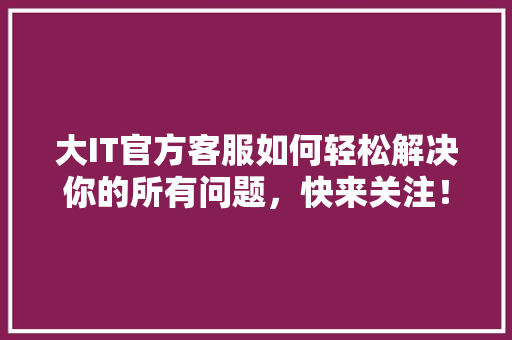 大IT官方客服如何轻松解决你的所有问题，快来关注！
