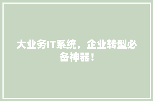 大业务IT系统，企业转型必备神器！