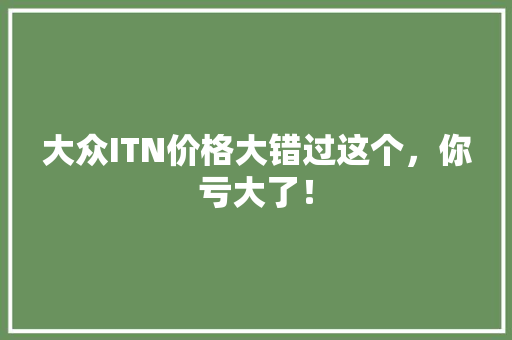 大众ITN价格大错过这个，你亏大了！