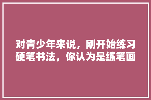 对青少年来说，刚开始练习硬笔书法，你认为是练笔画重要，还是结构重要「文章的架构为什么重要呢」