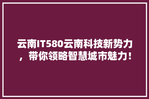 云南IT580云南科技新势力，带你领略智慧城市魅力！ GoogleSEO