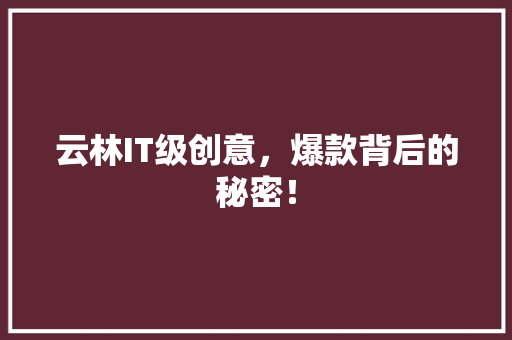 云林IT级创意，爆款背后的秘密！ GoogleSEO