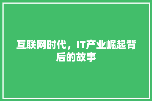 互联网时代，IT产业崛起背后的故事 GoogleSEO