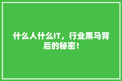 什么人什么IT，行业黑马背后的秘密！ GoogleSEO
