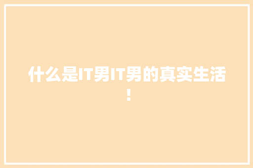 什么是IT男IT男的真实生活！ 必应SEO