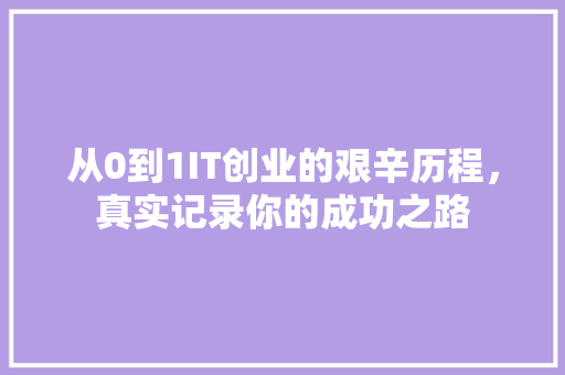 从0到1IT创业的艰辛历程，真实记录你的成功之路 神马SEO