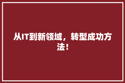 从IT到新领域，转型成功方法！ 必应SEO