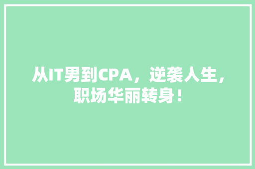 从IT男到CPA，逆袭人生，职场华丽转身！ 必应SEO