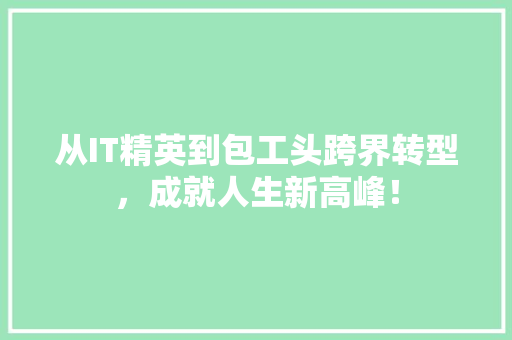 从IT精英到包工头跨界转型，成就人生新高峰！ 必应SEO