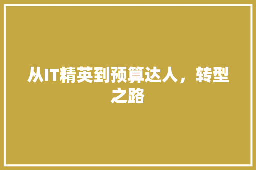 从IT精英到预算达人，转型之路 百度SEO