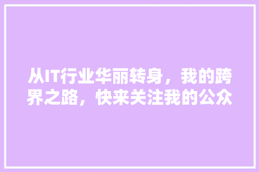 从IT行业华丽转身，我的跨界之路，快来关注我的公众号！ 必应SEO